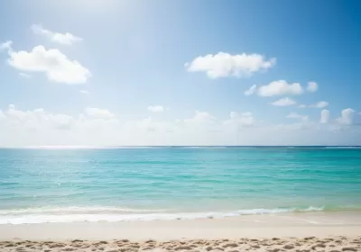 Imagen PNG para descargar